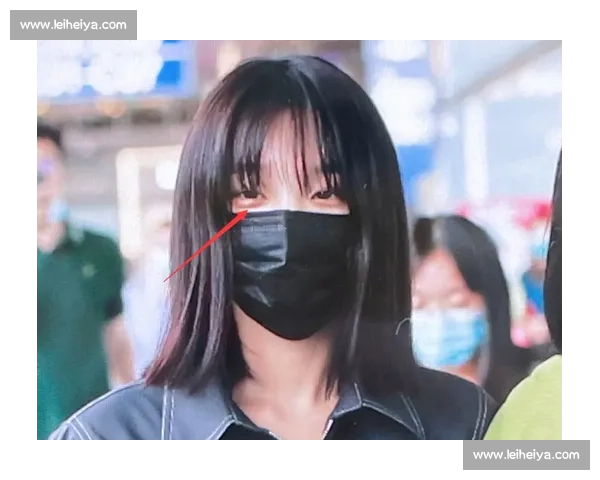 CORTIS 双份甜：雨凡 & 乾镐的粉丝可爱日记